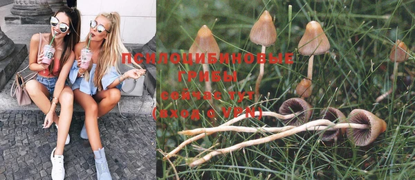 ГАЛЛЮЦИНОГЕННЫЕ ГРИБЫ Володарск