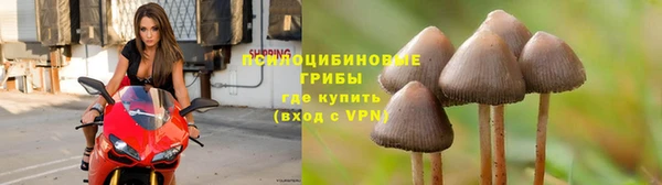 ALPHA PVP Покров