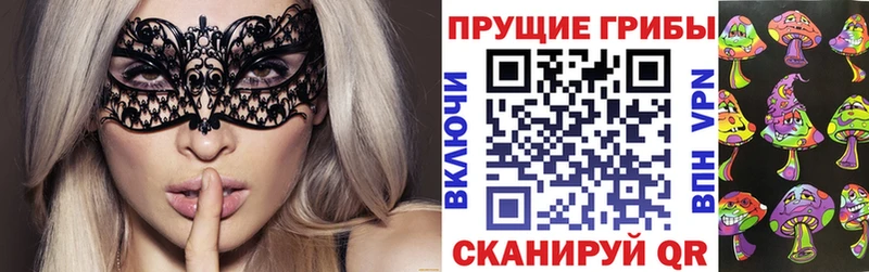 Галлюциногенные грибы Psilocybine cubensis  Жуков 