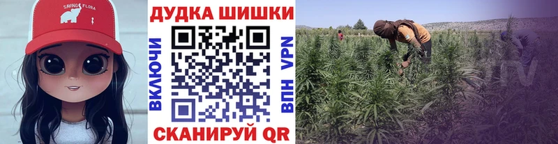 blacksprut ССЫЛКА  Жуков  Шишки марихуана LSD WEED 